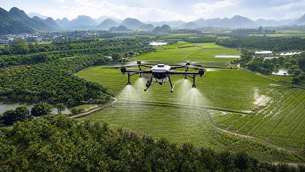 Crop Spraying Drones: Which Crops and Field Sizes Make Economic Sense?