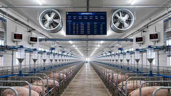 Precision Livestock Farming Systems: Which Sensors Deliver Actionable Alerts?