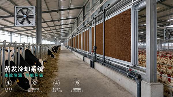 Evaporative Cooling Systems Cost: Budget Factors for Dairy and Poultry Barns