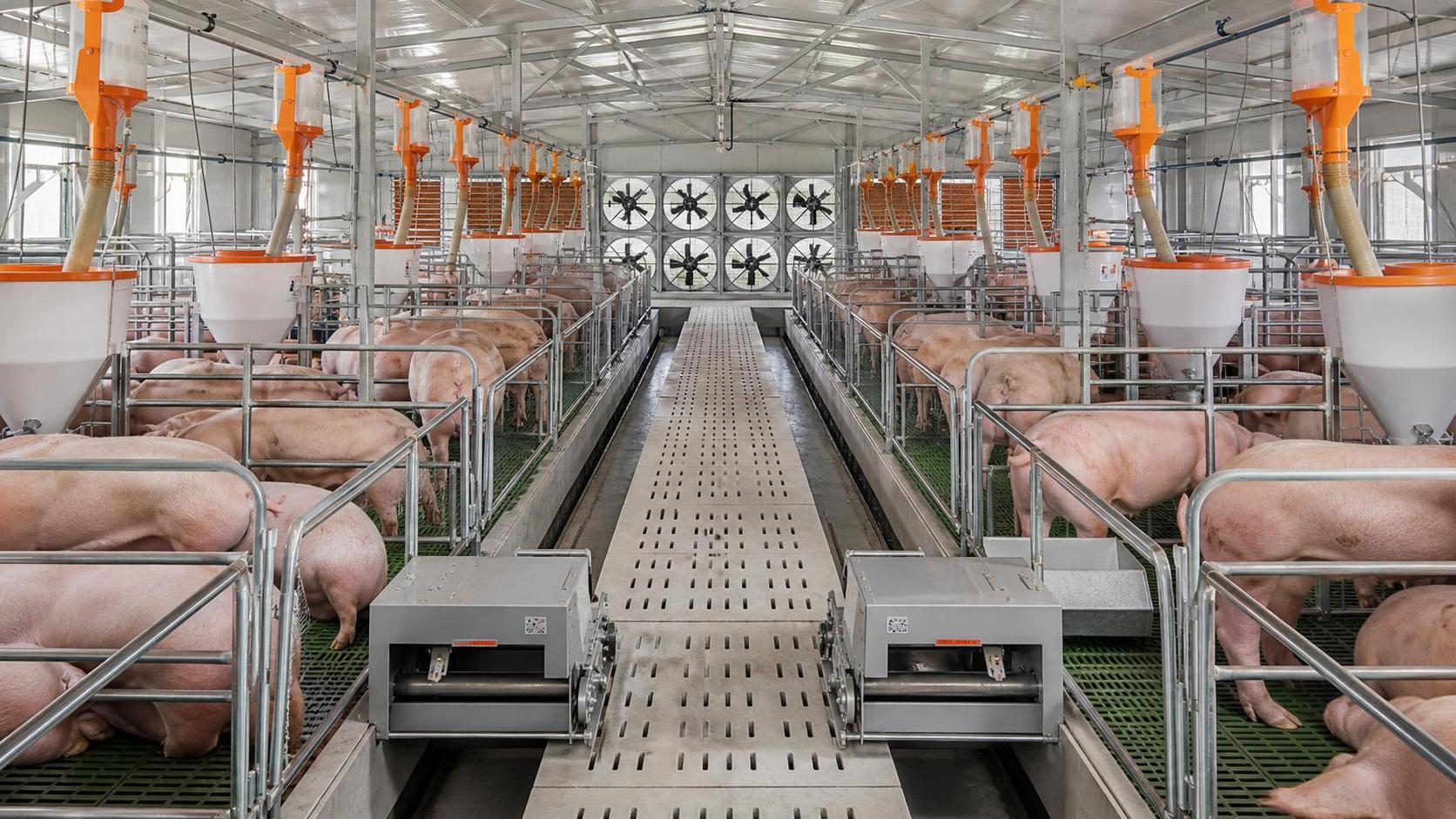 Agricultural Equipment for Livestock Farms: What to Upgrade First