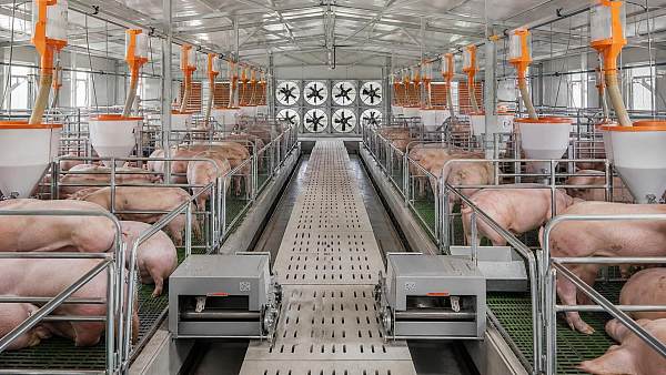 Agricultural Equipment for Livestock Farms: What to Upgrade First