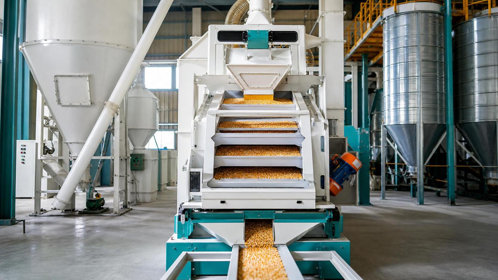 Grain Cleaning Equipment for Maize: Screens, Aspiration and Capacity Trade-Offs