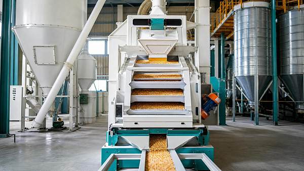 Grain Cleaning Equipment for Maize: Screens, Aspiration and Capacity Trade-Offs