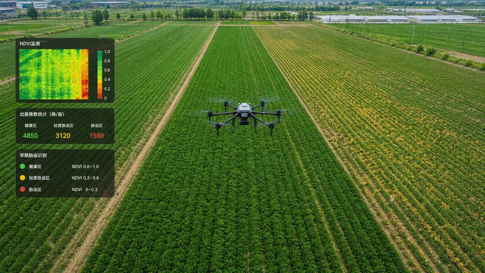 How Drone Crop Scouting Improves Field Decisions with NDVI, Stand Counts, and Stress Detection