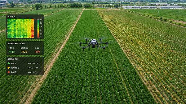 How Drone Crop Scouting Improves Field Decisions with NDVI, Stand Counts, and Stress Detection