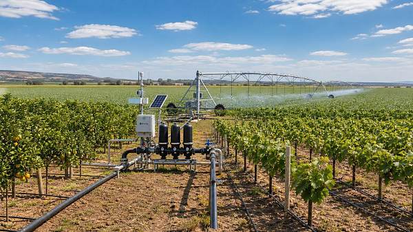 How to Choose Irrigation Systems in Australia for Broadacre, Orchard, and Vineyard Use