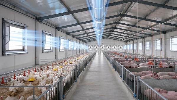 Air Inlet Systems for Negative Pressure Houses: Sizing, Placement, and Common Airflow Problems