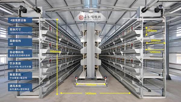 How to Evaluate Taiyu(HK) Poultry Farm Equipment for Layer Cage Size and Capacity