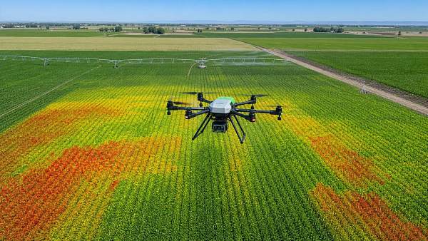 How Aerial Crop Sensing Detects Crop Stress Before Yield Loss
