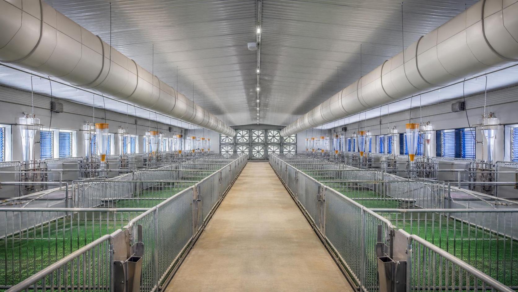What Is a Negative Pressure Ventilation Tunnel and When Is It the Right Climate Control Setup?