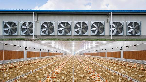 How to Evaluate an Exhaust Fan Systems Manufacturer for Poultry House Climate Control