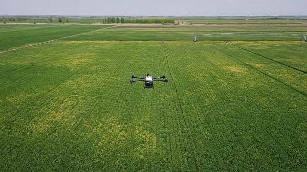 How Multispectral NDVI Mapping Helps Detect Crop Stress Before Visible Field Symptoms