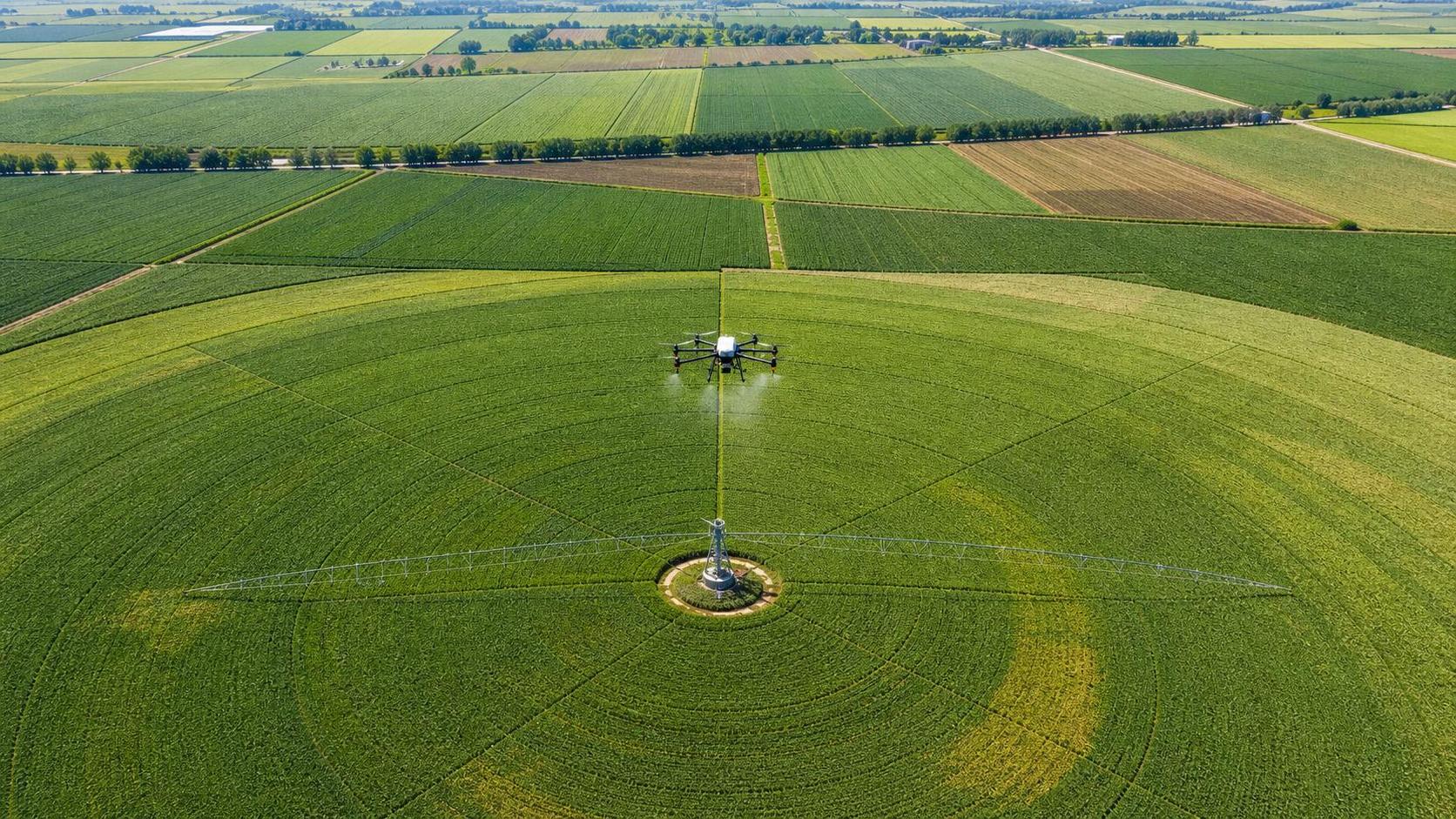 Aerial Crop Sensing for Field Monitoring: What Data Matters for Irrigation and Stress Detection?