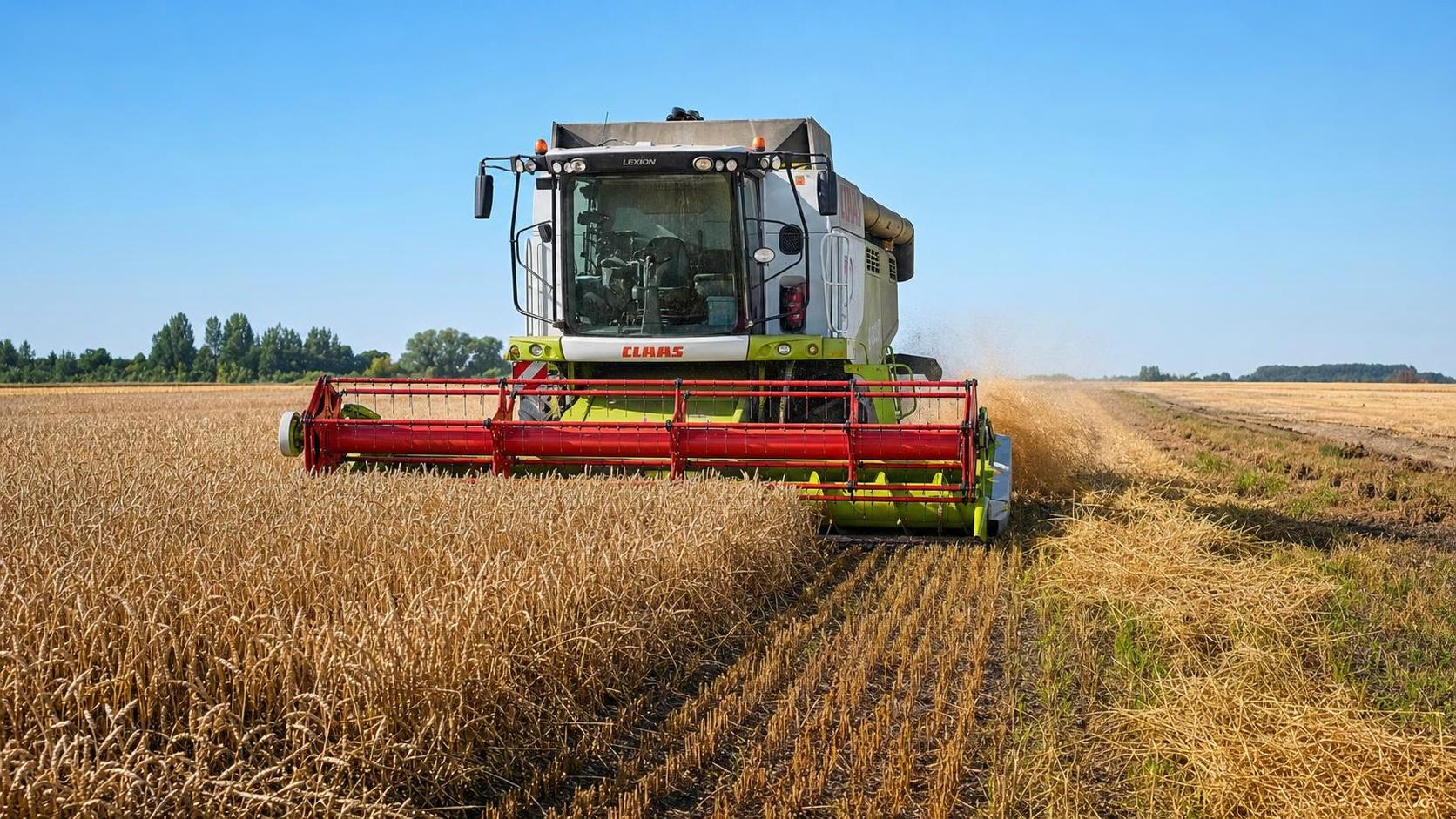 How Wheat Threshing Systems Differ by Farm Scale, Crop Conditions, and Loss Control