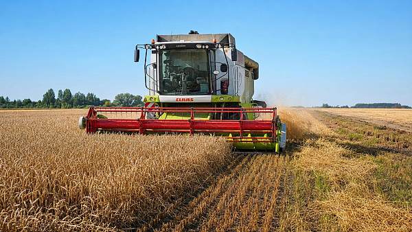How Wheat Threshing Systems Differ by Farm Scale, Crop Conditions, and Loss Control