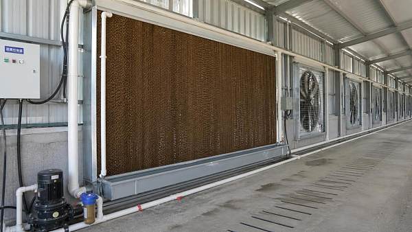 How to Evaluate Evaporative Cooling Systems for High-Heat Livestock Facilities