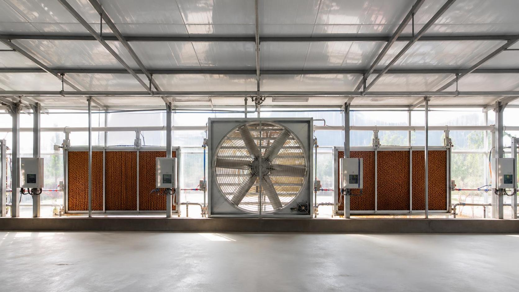 How to Choose Barn Cooling Systems for Reliable Humidity Control in Livestock Houses