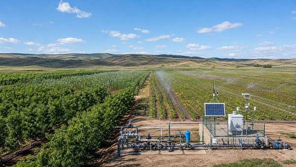 How to Evaluate Irrigation Scheduling Software for Multi-Zone Farms