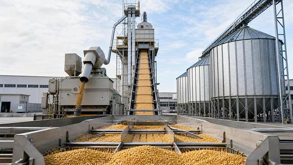 Post-Harvest Handling of Grain: How to Reduce Moisture, Breakage, and Storage Losses