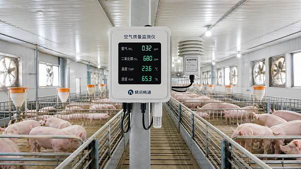 How to Choose Livestock Air Quality Monitoring for Poultry and Swine Houses