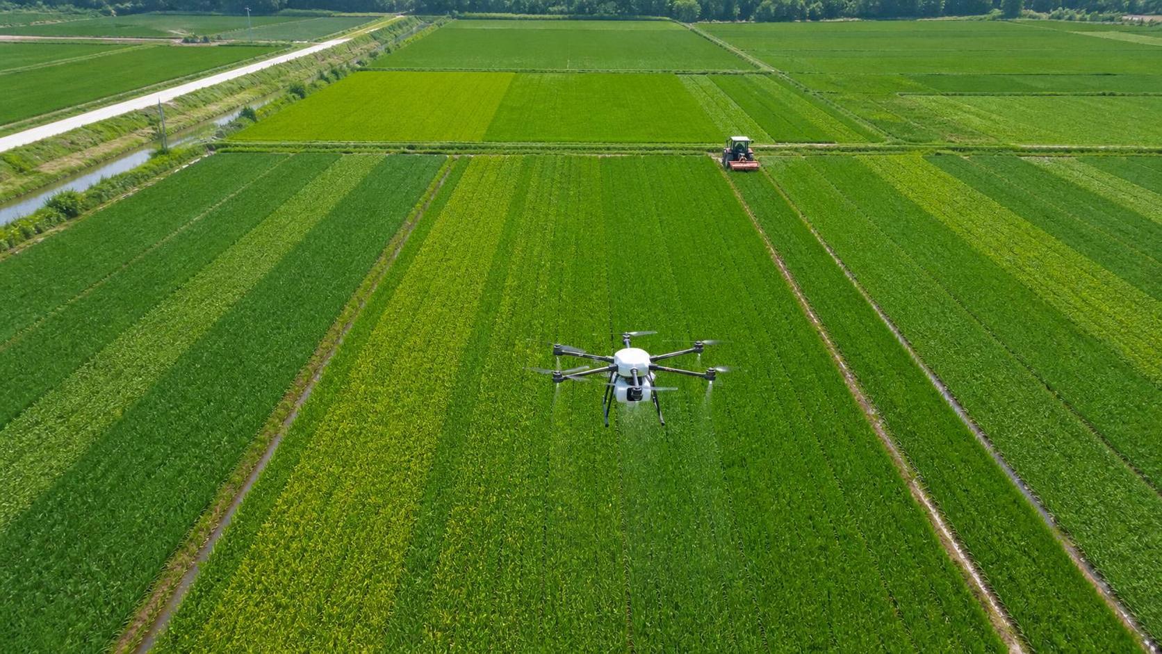 What Does Crop Mapping Technology Cost for Farms of Different Sizes?