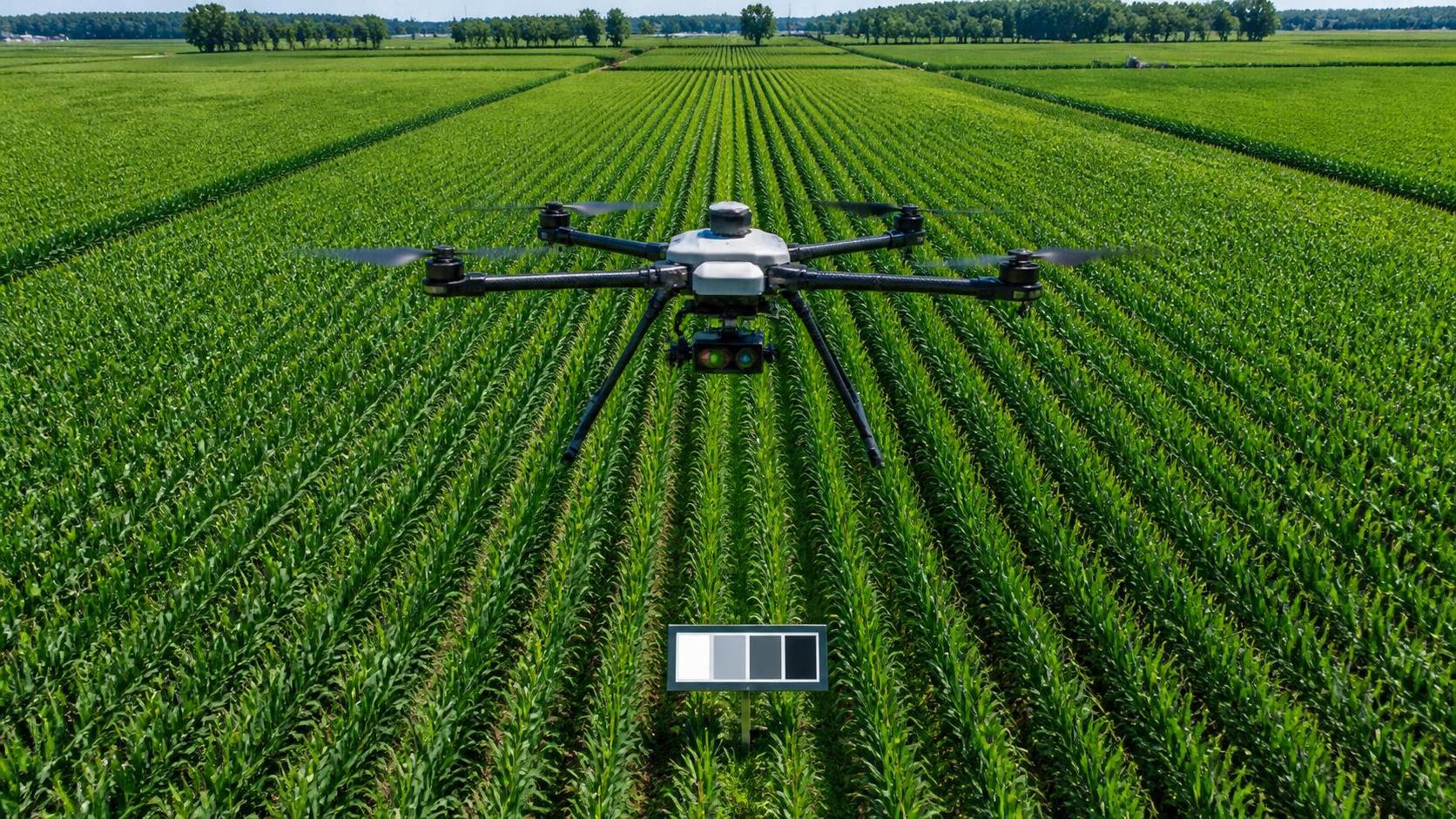 Selecting Multispectral Imaging Cameras for Accurate NDVI Mapping in Row Crops
