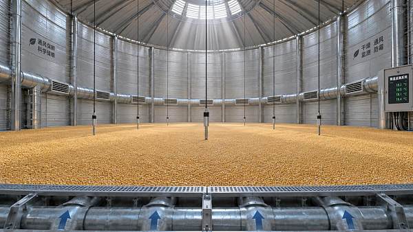 How to Prevent Mold in Stored Grain With Aeration, Drying, and Temperature Monitoring