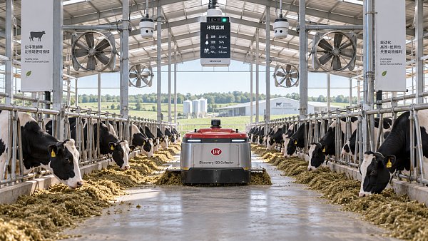 How to Evaluate Livestock Automation Equipment for Labor Savings and Animal Welfare