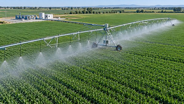 Low-Pressure Center Pivot Irrigation: When Does It Cut Pumping Energy Without Sacrificing Uniformity?