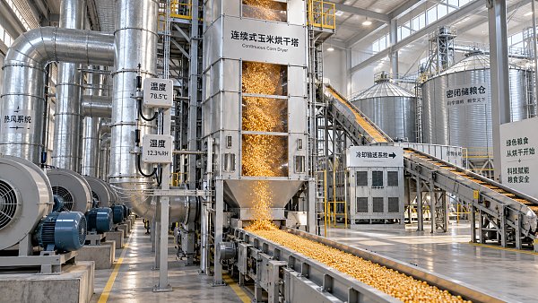 Grain Drying Controls That Reduce Aflatoxin Risk Without Overdrying