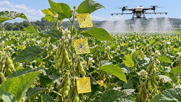 Do Spraying Drones Provide Enough Canopy Penetration for Soybeans?
