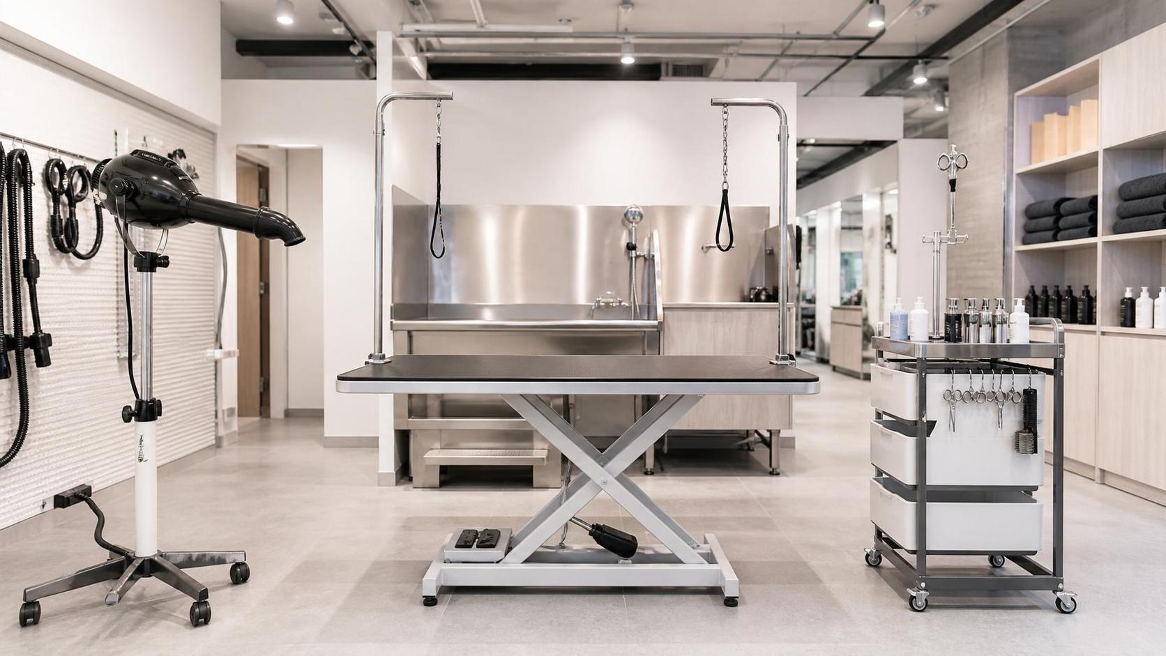 How to Choose Professional Grooming Equipment for High-Volume Pet Salons