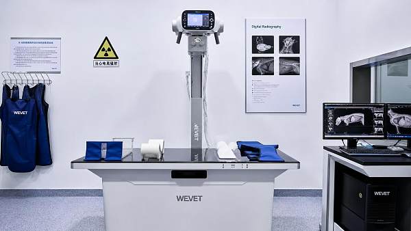 How to Choose Veterinary X-Ray Equipment for Hospitals: Key Specs, Workflow, and Budget