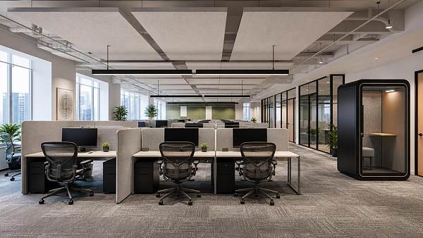 Office Acoustics Problems in Open Plans: How to Reduce Speech Noise Effectively