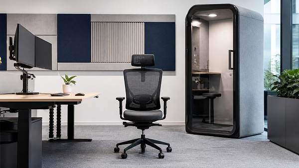 Should You Prioritize Ergonomic Chairs or Acoustic Solutions in an Office Upgrade?