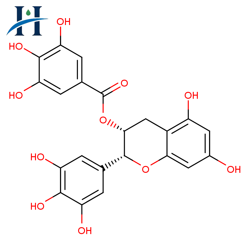 (-)-Epigallocatechin gallate