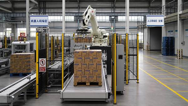Robot Palletizing Line vs Manual Palletizing: Output, Labor, and Space Compared