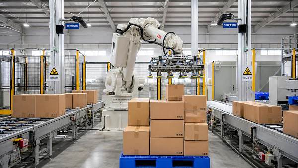 How Can Vacuum Gripping Systems Improve Depalletizing of Mixed-Size Cases?