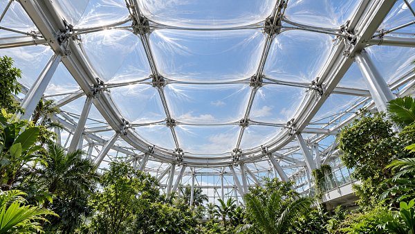What Is an ETFE Roof? Foil Layers, Air Cushions, and Common Uses