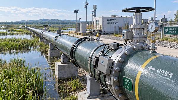 Pipeline Failure Prevention: How Risk-Based Integrity Plans Reduce Leaks and Downtime
