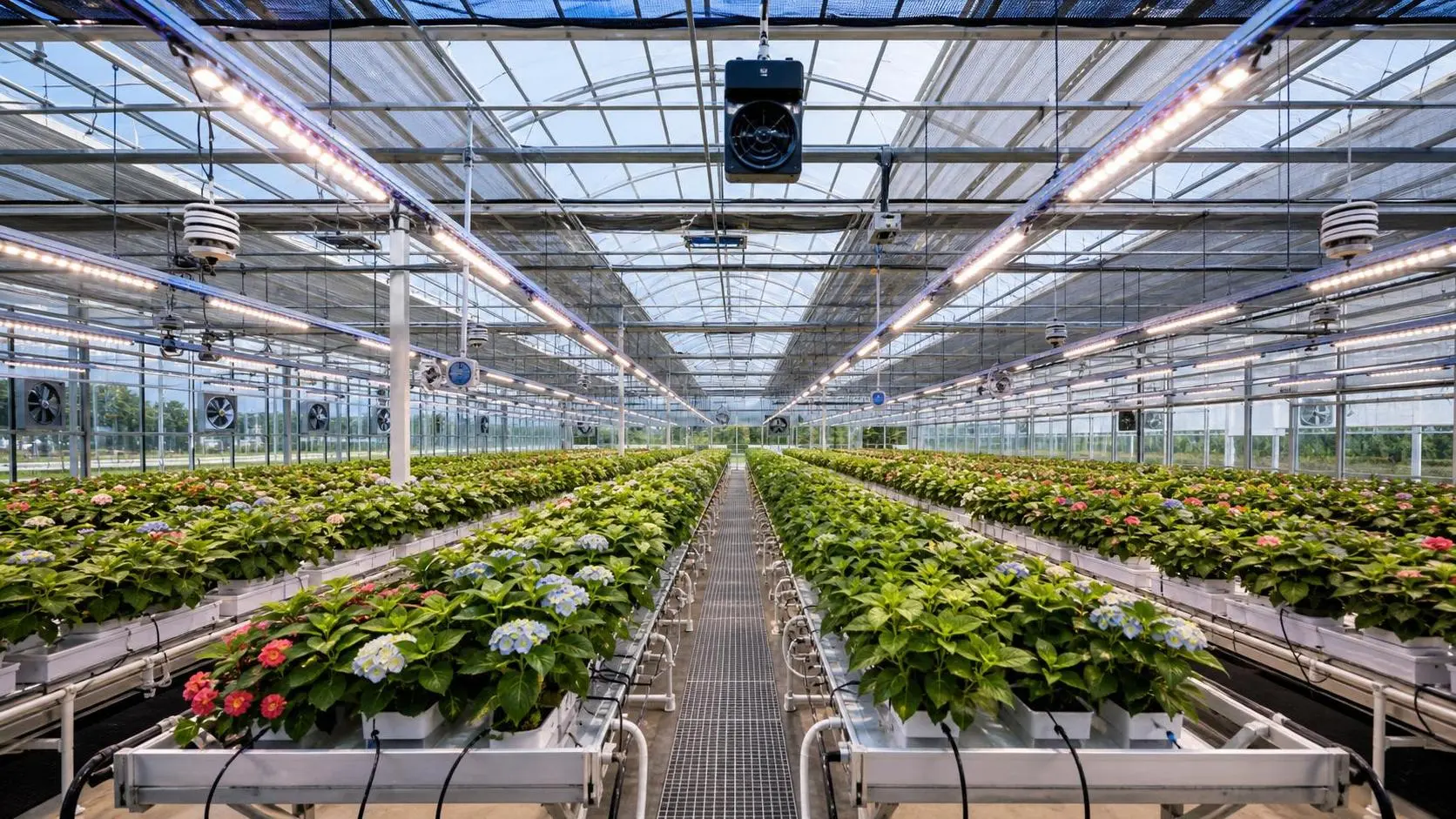 Horticulture Technology Cost Breakdown: What Drives ROI in Greenhouse Upgrades?