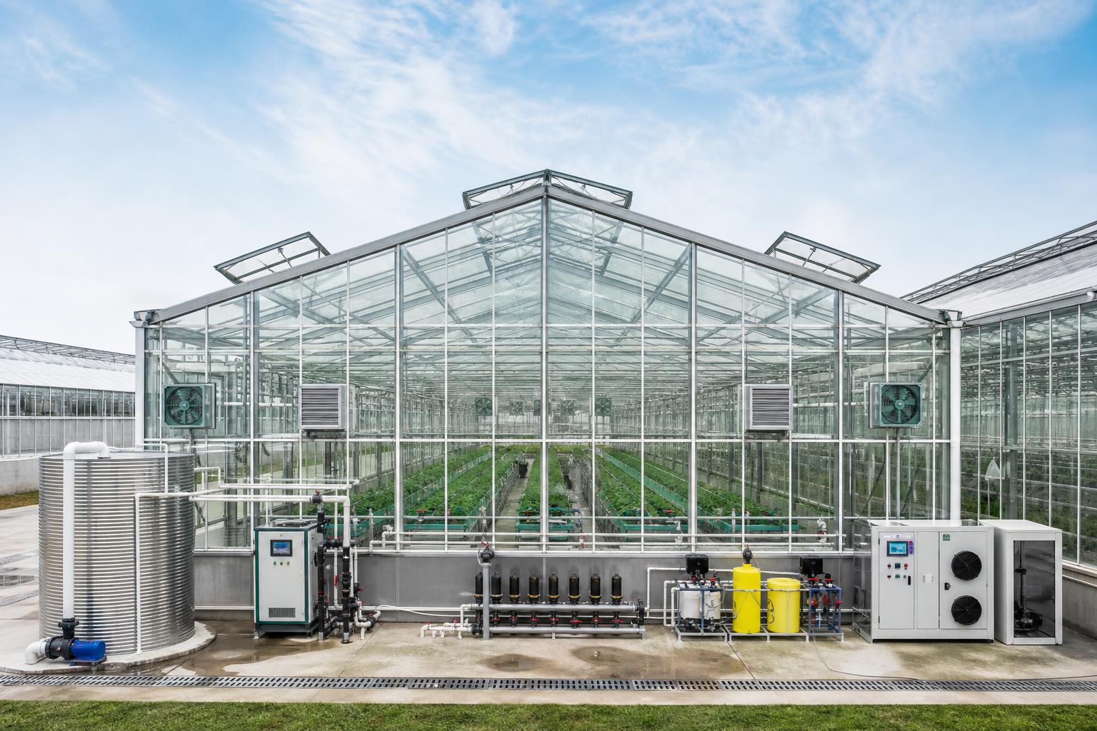 Choosing a Greenhouse Infrastructure Supplier: Key Systems, Specs, and Red Flags