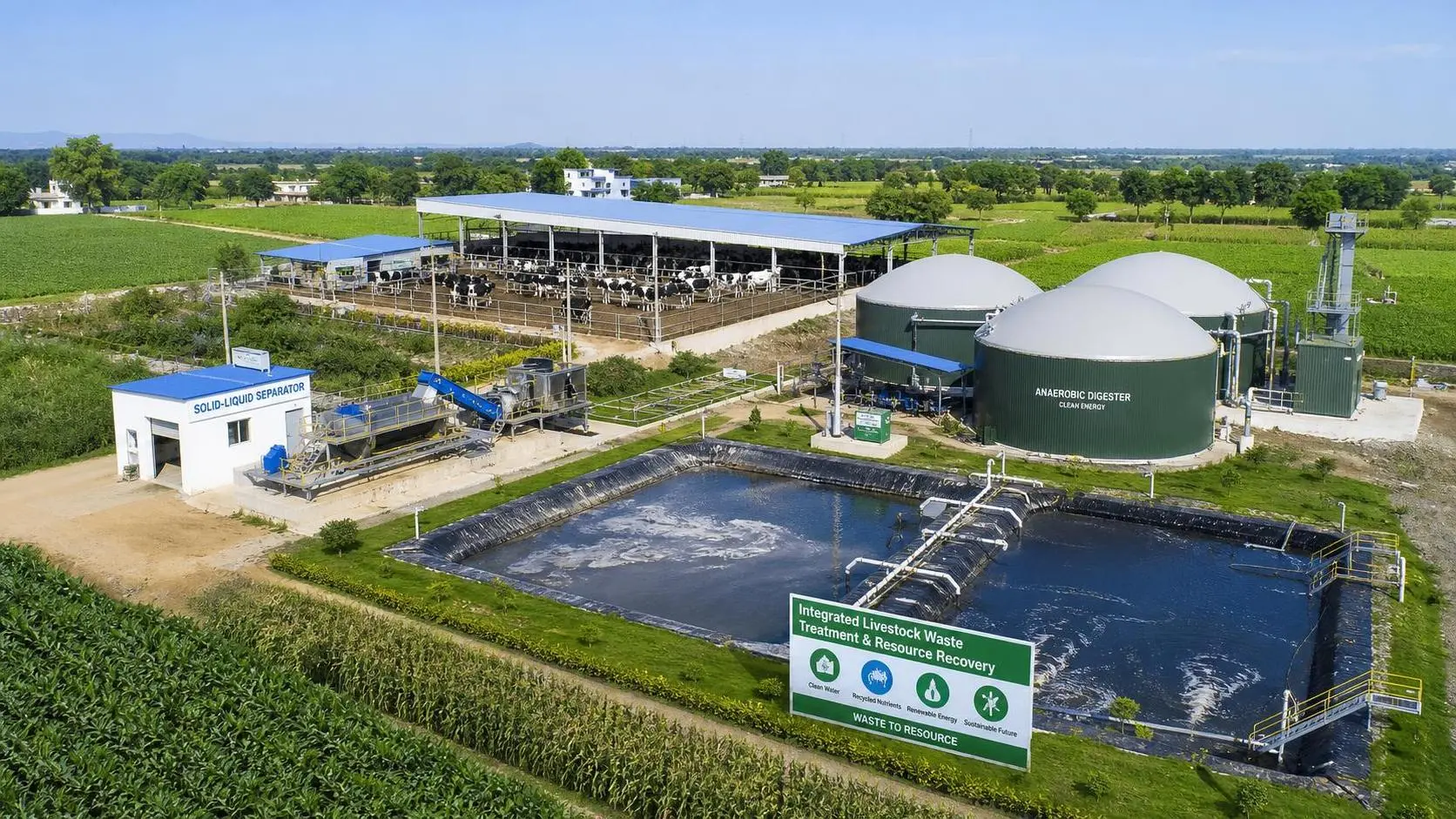 Animal Waste Treatment in India: Common Methods, Compliance Needs, and Project Fit