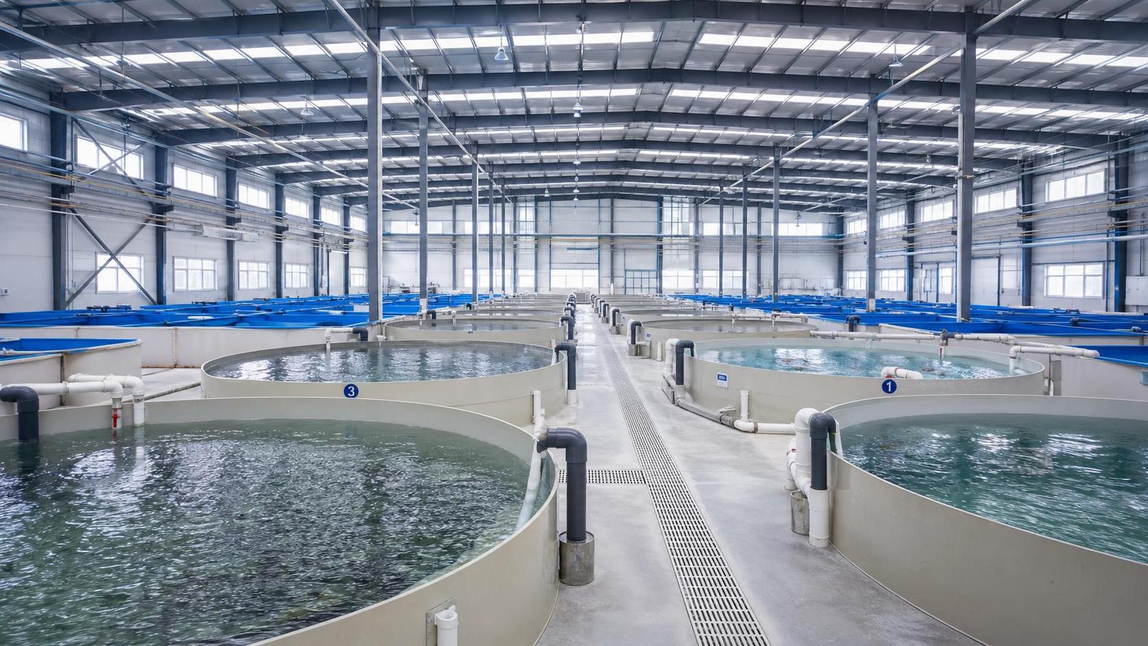 How to Choose Aquaculture Farming Tanks for Fish Species, Water Volume, and Farm Scale