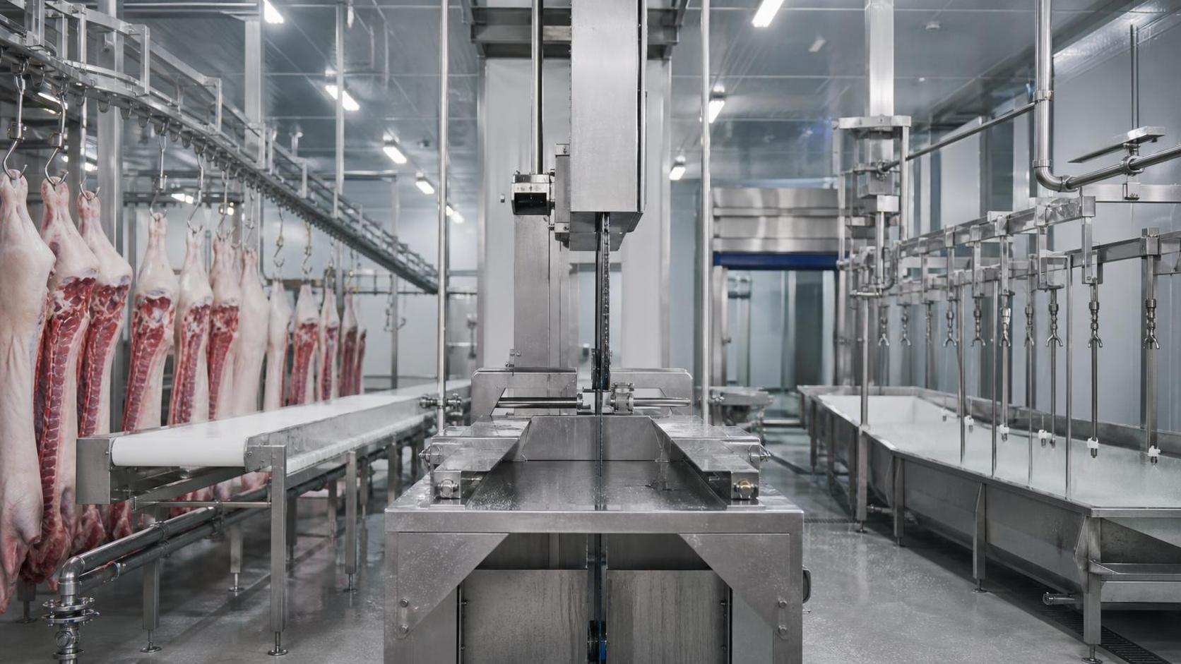 Slaughterhouse Equipment HACCP Checklist: Critical Control Points for Safer Meat Processing