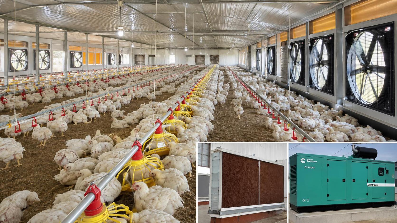 What poultry equipment requirements in Nigeria should a new farm meet?