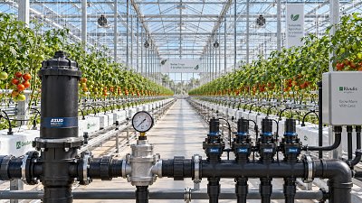 Greenhouse Drip Irrigation System Design: Sizing Zones, Flow Rates, and Pressure