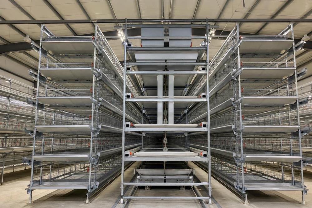 Navigating Global Agricultural Supply Chains: Sourcing Strategies for Battery Cages