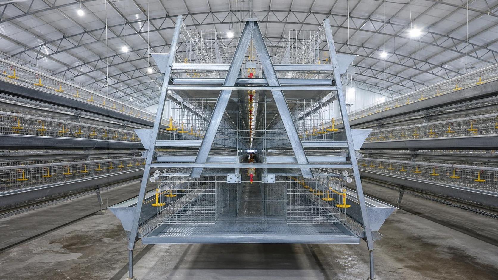 Cost Analysis and Sourcing Guide: 5 Key Tips for Procuring A-Type Battery Cages