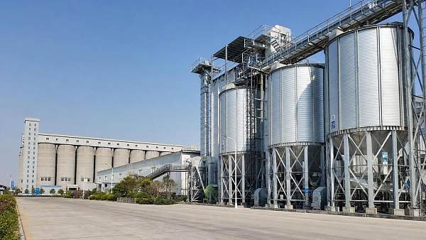 Steel Silo vs Concrete Storage: Which Option Fits Bulk Material Projects Better?